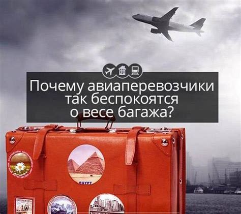 Авиаперевозчики и информация о полетах