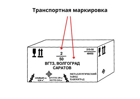 Анализ коробки и маркировки