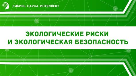 Безопасность и риски