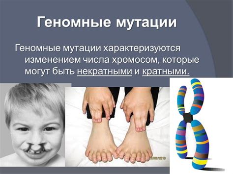Важность мутаций в биологии