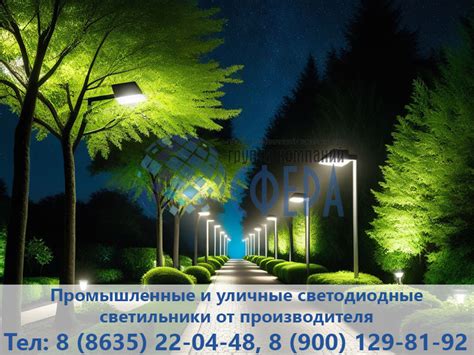Важность яркого освещения в ночное время