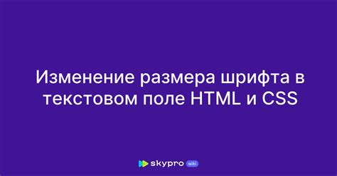 Вариант 1: Изменение размера шрифта непосредственно в текстовом поле