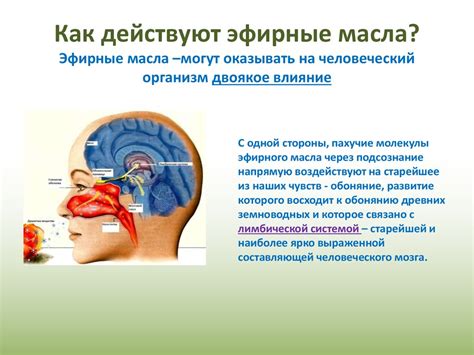 Влияние масел и снимающих средств