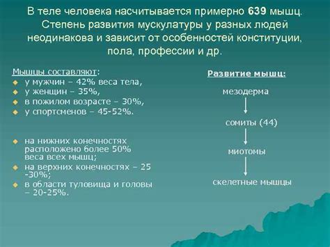 Влияние развития мускулатуры на определение возраста ягненка