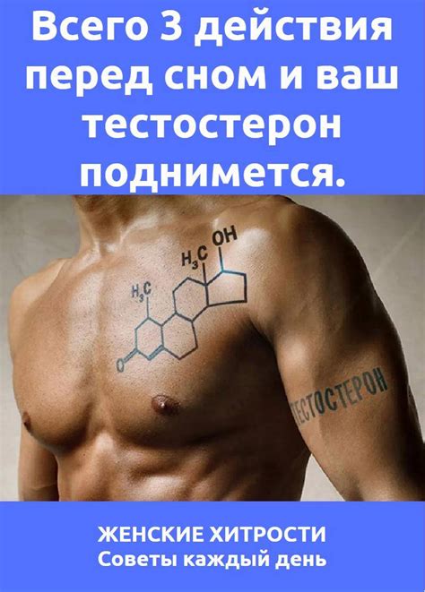 Влияние тестостерона на эрекцию
