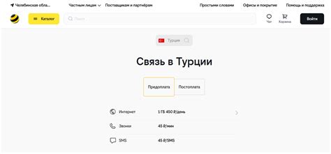 Возможные проблемы и их решение при подключении роуминга Билайн в Грузии