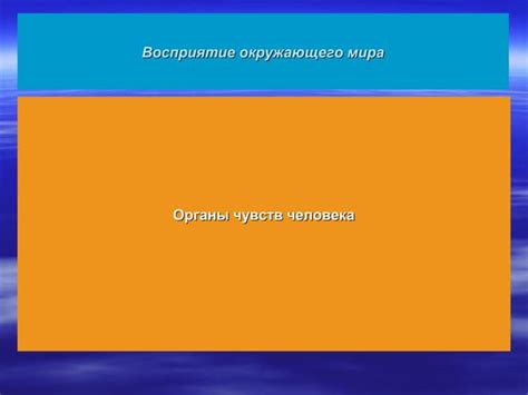 Восприятие окружающего мира змеями
