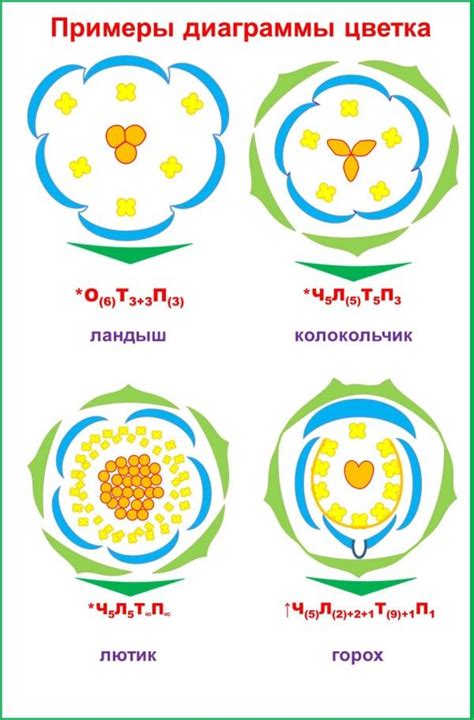 Выберите форму цветка