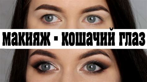 Готово! Ваш щенячий макияж готов