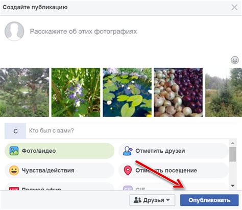 Добавление имени и фотографии профиля