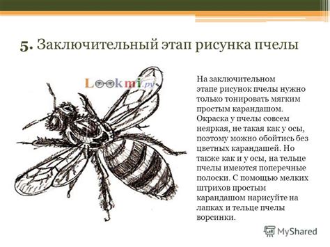 Завершение рисунка: раскрашивание пчелы
