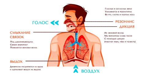 Изменение голосового тембра