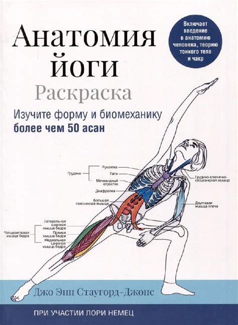 Изучите анатомию движения