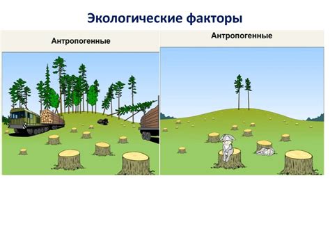 Интерференция с окружающей средой