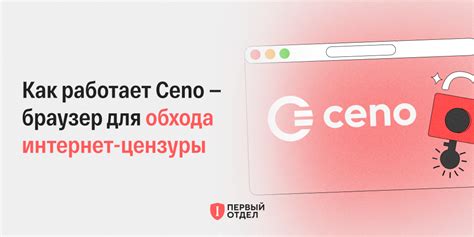 Использование альтернативных программ для обхода цензуры в окне экипажа 314