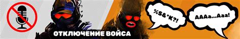 Использование консоли для отключения чата и голоса в CS:GO