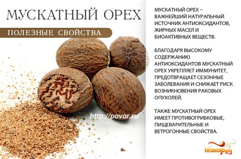 Как добавить мускатный орех в вино