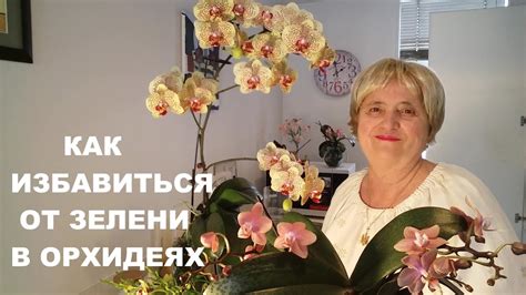 Как избавиться от зелени в канистре: проверенные советы