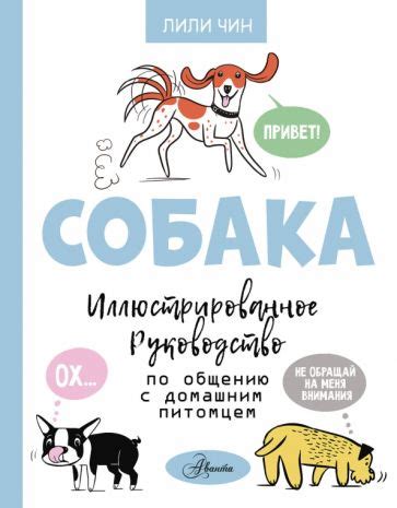 Как ловить собаку: иллюстрированное руководство