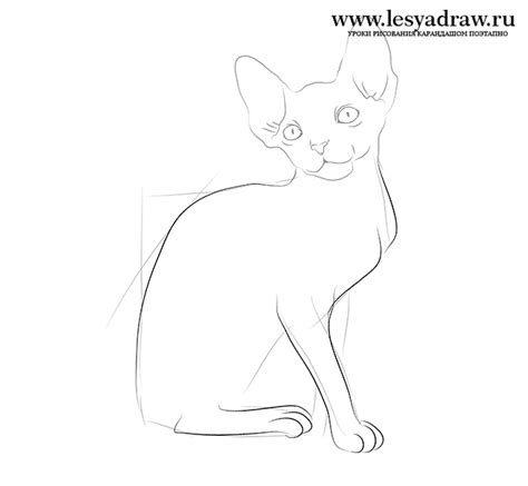 Как нарисовать египетскую кошку из Тик Тока