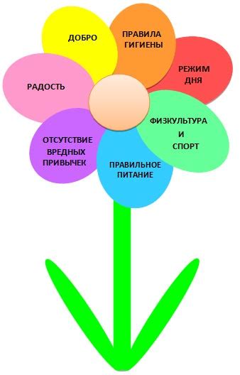 Как начертить цветок здоровья