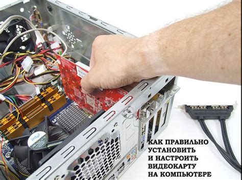 Как правильно установить и настроить клык