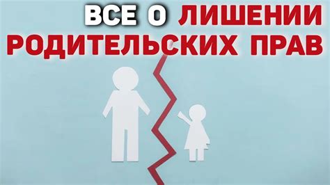 Как проверить лишение матерью родительских прав через онлайн-сервисы ПФР