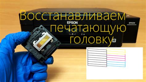 Как проверить печатающую головку Epson