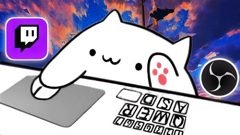 Как создать Bongo Cat на OBS: иллюстрированное руководство