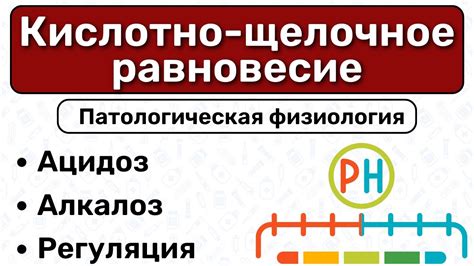 Кислотно-щелочное равновесие