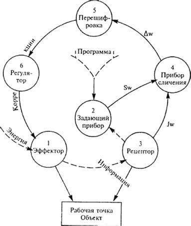 Мониторинг прогресса через кольца активности