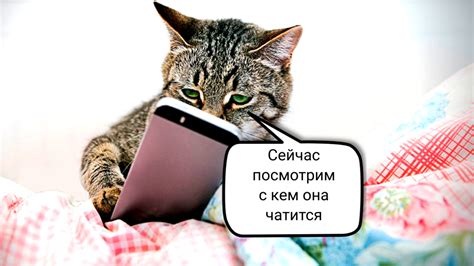 Настройка приватности камеры в Телеграмм