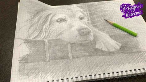 Начать рисование