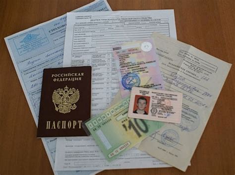 Необходимые документы для регистрации лошади
