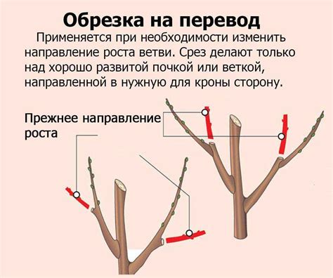 Обрезка лишних крайних частей