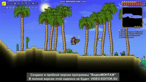 Ограничения и нюансы при настройке камеры в Террарии на ПК