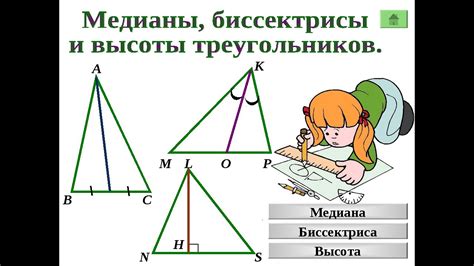 Определение высоты в треугольнике: готовые примеры и задачи