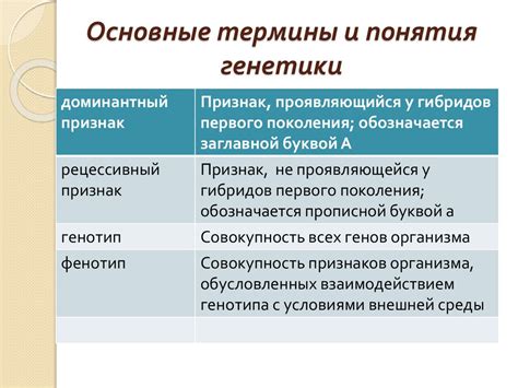 Основные термины и понятия