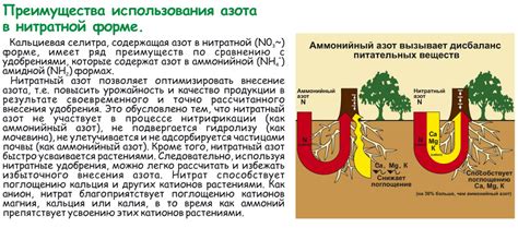 Основные шаги в разведении кальциевой селитры