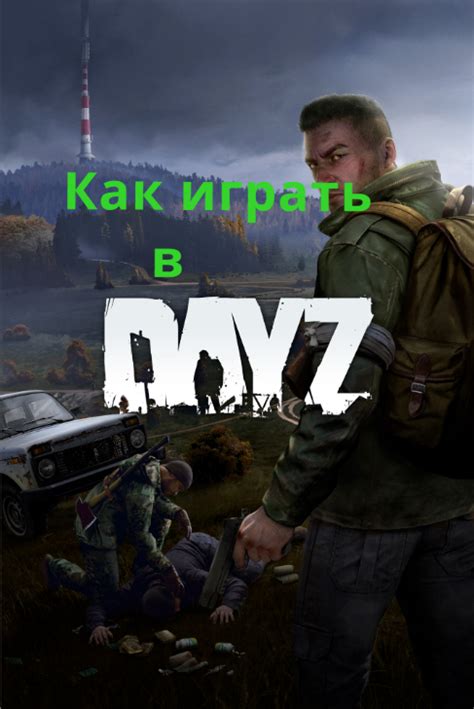 Основы рейдинга в DayZ