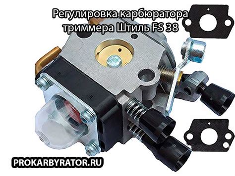 Особенности триммера Штиль FS 38