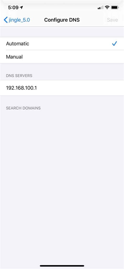 Отключение DNS-сервера на iPhone: простые шаги