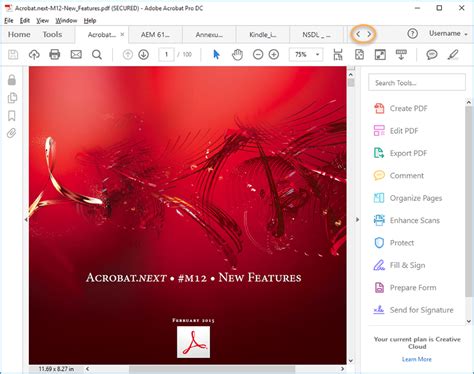 Открытие документа в Adobe Acrobat Pro