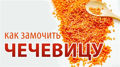Подготовка чечевицы перед приготовлением