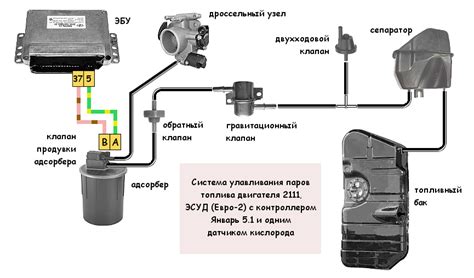 Подключение адсорбера ВАЗ 2114 инжектор 8 клапанов