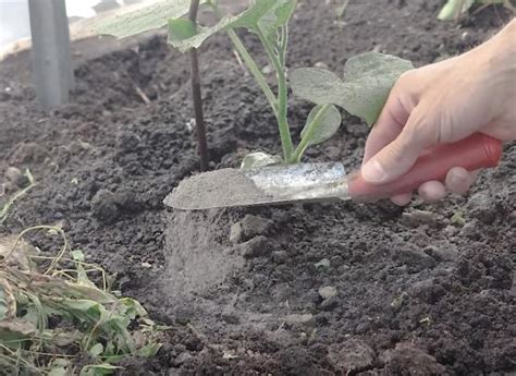 Постепенное добавление кальциевой селитры в воду