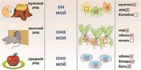Правила изменения имени в Корее для иностранцев