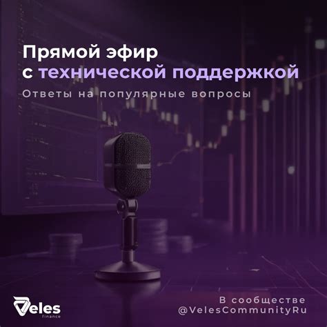 Предварительная консультация с технической поддержкой