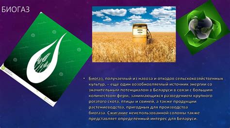 Преимущества использования сжигателя биомассы
