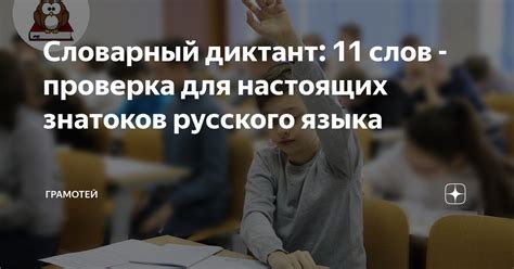 Проверка русского языка: